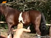 [ Zoophilia Tube ] Whore loves jacking off a horse